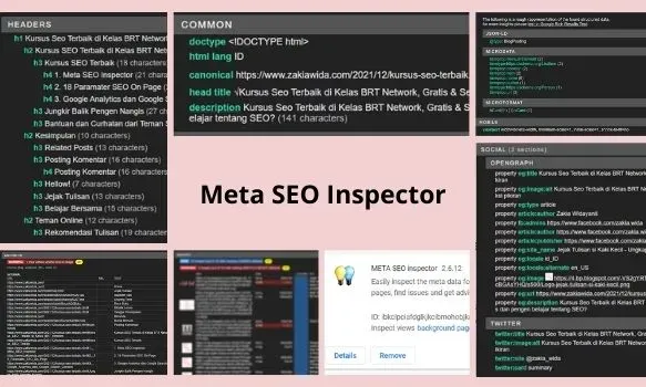 Meta SEO Inspector