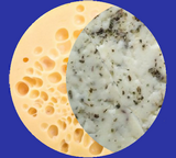 Cheese factory