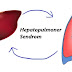 Hepatopulmoner Sendrom