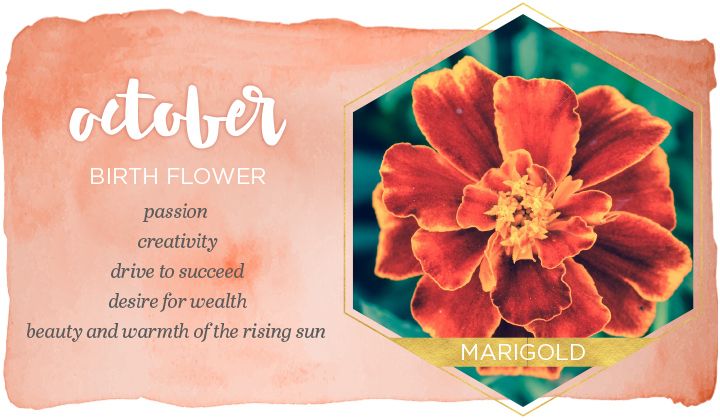 Oct Birthday Flower