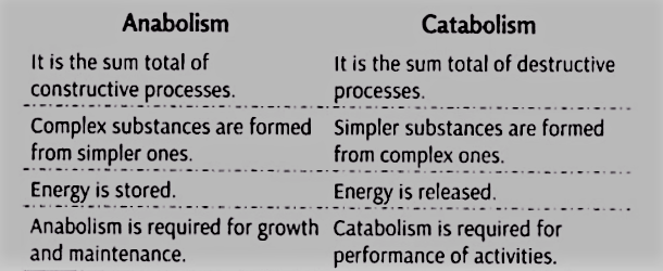 class 11 biology chapter 1 pdf