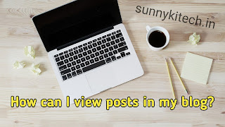 How can I view posts in my blog