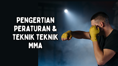 Pengertian Mixed Martial Arts Dan Peraturannya