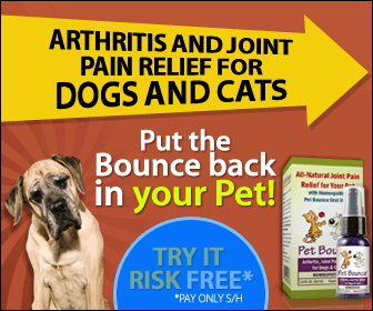 All-Natural Joint Pain Relief For Your Pet
