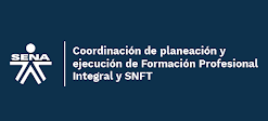 Formación Profesional Integral Y SNFT