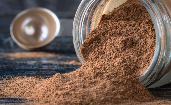 Best protein powder for weight loss female in India | Mushroom powder | MycoNutra®  mushroom products