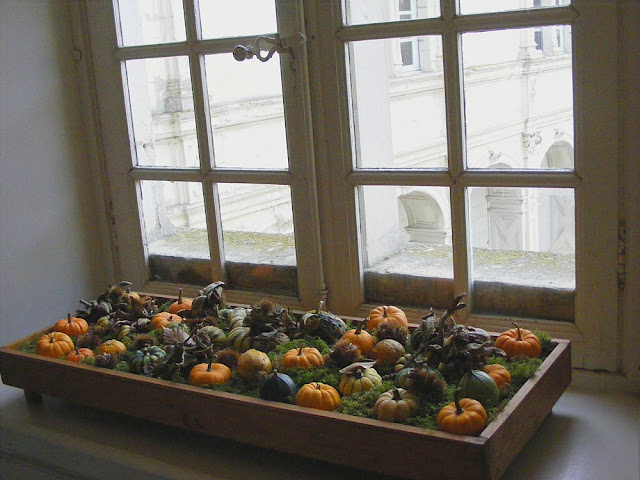 Display of miniature pumpkins on a window sill in the Chateau de Villandry, Indre et Loire, France. Photo by Loire Valley Time Travel.
