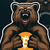 BITCOIN BEAR MARKETS ARE NOT ALL THE SAME.