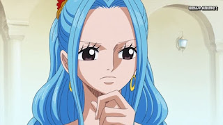 ワンピースアニメ 世界会議編 888話 ビビ | ONE PIECE Levely Arc レヴェリー