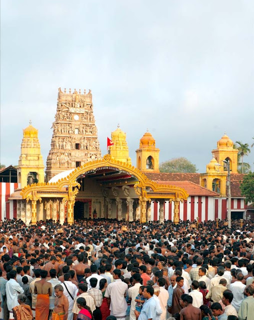 Jaffna Nallu Festival