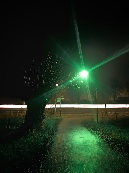 Kale wilf bij groen licht, uitzicht op een fietskruising