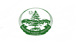 www.kpta.org.pk - Forest Department KPK Jobs 2021 in Pakistan