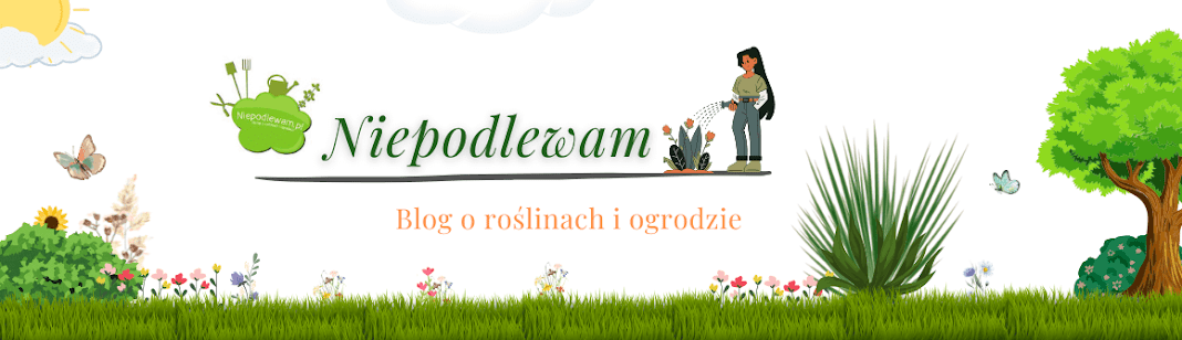 niepodlewam