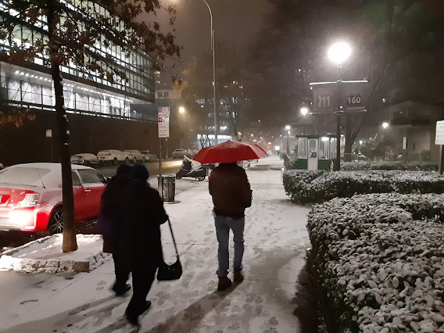 Tormenta histórica y frío extremo suman horas azotando Nueva York ¿Cuánta nieve ya ha caído y cuánto falta?