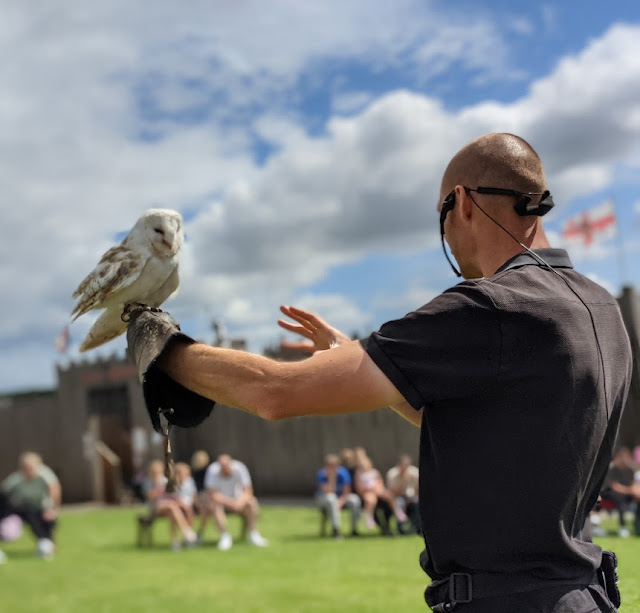 Adventure Valley Review & Offers  - birds of prey show