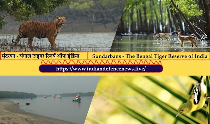 सुंदरवन - बंगाल टाइगर रिजर्व ऑफ इंडिया | Sundarbans - The Bengal Tiger Reserve of India
