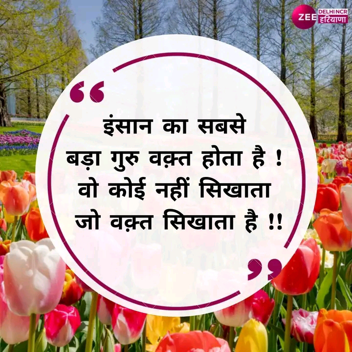 चित्र