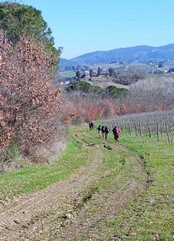 WAYMARKED TRAILS sentieri