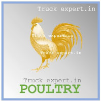 Ashok leyland 1415 HB is specially designed to carry Poultry goods