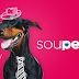 Soupet Pet Shop Logo Design Idea
