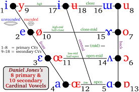 Cardinal Vowels Through Diagram | Cardinal Vowels position through Diagram | Try Dot Fulfill
