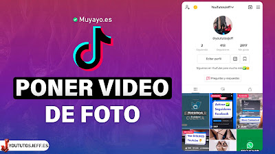 poner video de foto de perfil en tiktok