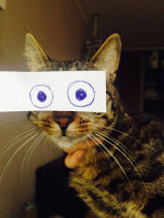 Galería de fotos de humor : dibujando ojos de gatos