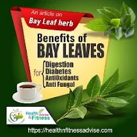 Bay-Leaves-Health-Benefits-www-healthnfitnessadvise.com