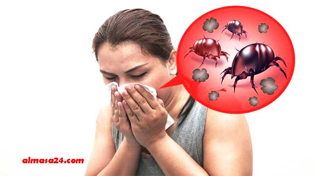 مرضى حساسية عث الغبار المنزلي تشكل الرطوبة خطر عليهم