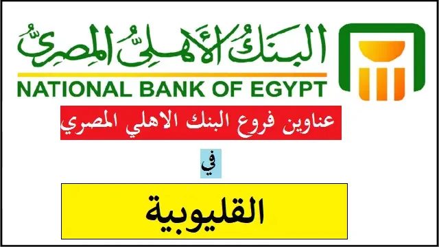 فروع البنك الأهلى المصرى فى القليوبية