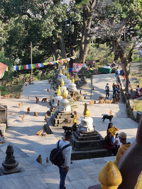 Templo dos Macacos de Swayambhunath em Kathmandu