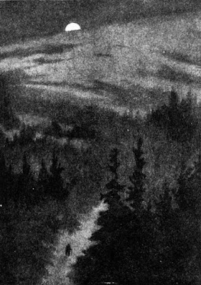 A night time scene of a small figure walking alone in a forest