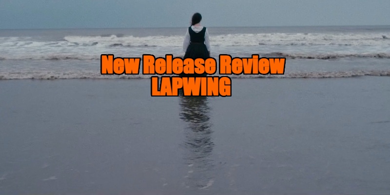 lapwing review
