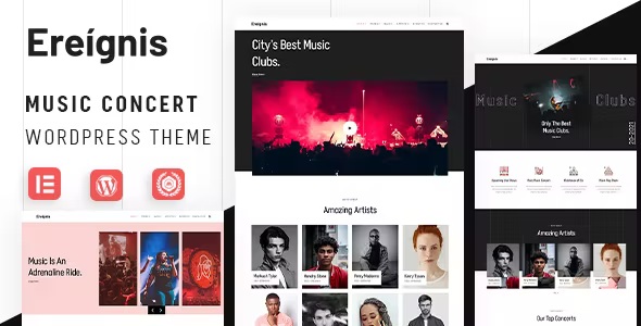 Best Music Concert WordPress Theme