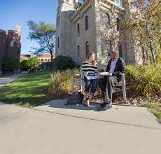 Carleton College George International Scholarships in USA