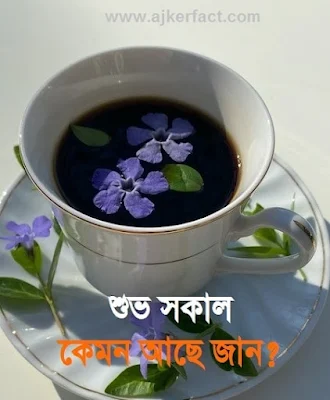 শুভ সকাল পিকচার