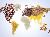 The Global Food Security Index - 2021.