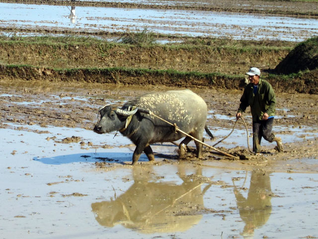 kinh doanh dựa vào chất xám