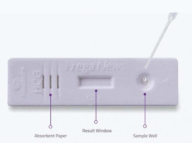 making-pregnancy-test