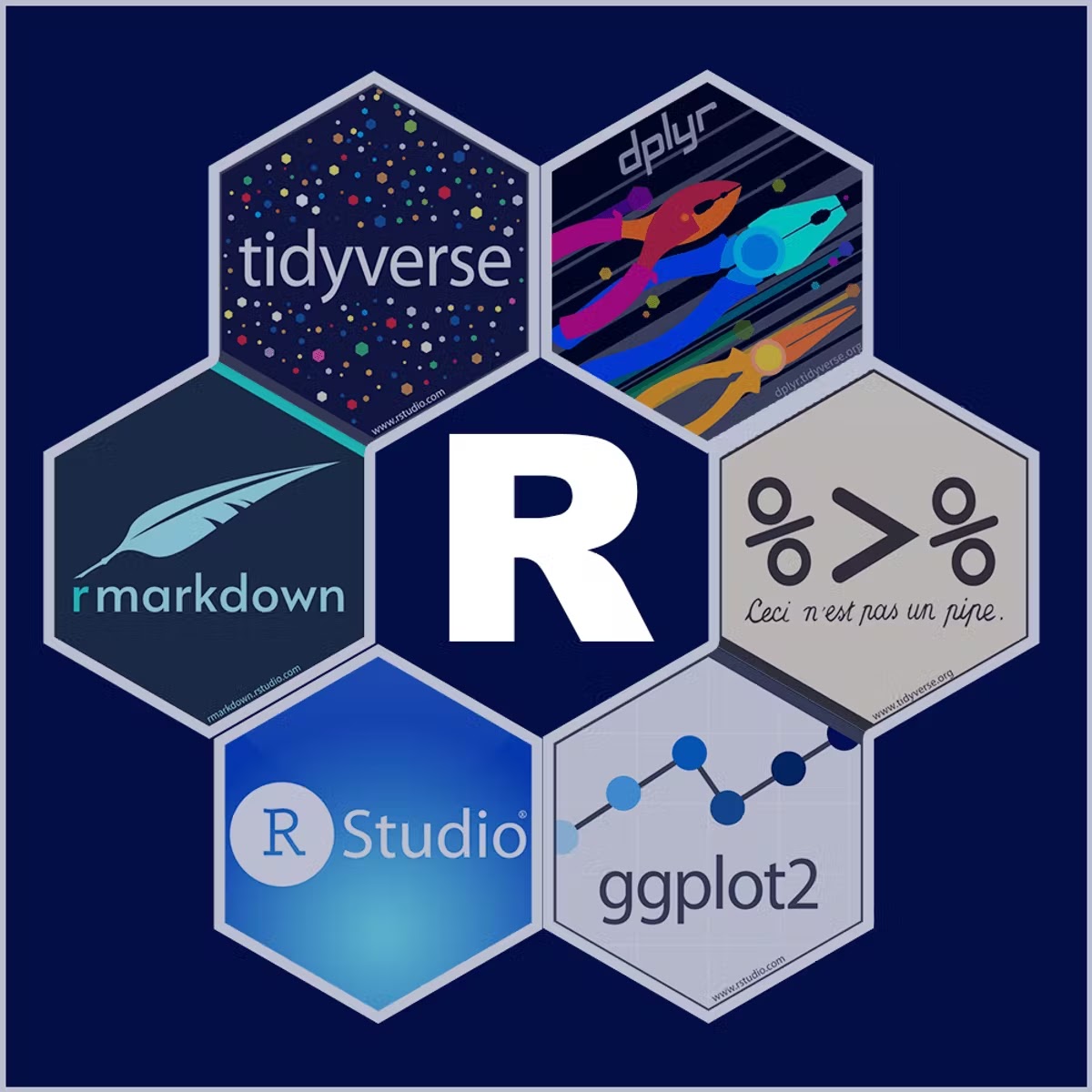 best course to learn R programming