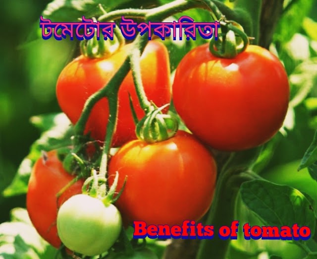 Benefits of Tomato