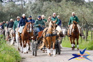 Passeio a cavalo do 20º Aniversário da ARTM