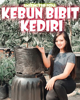 Duduk Santai Kebun Bibit Kediri