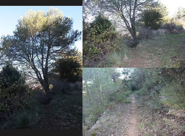 GR-7 Cabra del Camp a Vallespinosa, Camí de Cabra del Camp a Vallespinosa dins del corriol de baixada cap a Les Eres de Vallespinosa