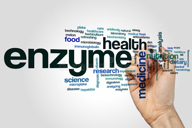 How A Natural Enzyme Can Improve And Maintain Your Health