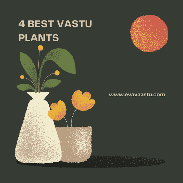 4 Best Vastu Plants for Home in Hindi (वास्तुशास्त्र के अनुसार घर में लगाए ये पौधे। )