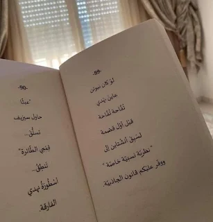 إقتباس من كتاب نهديات السيدة واو