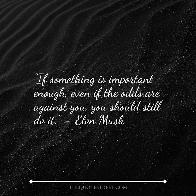 "If something is important enough, even if the odds are against you, you should still do it." – Elon Musk