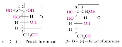 Biomolecules Chemistry Class 12 Notes