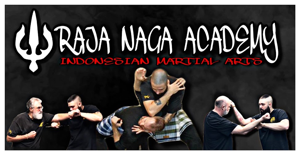 Raja Naga Academy